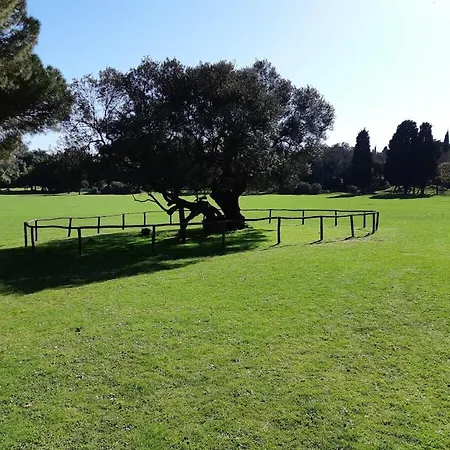 Kascuni A3 Hébergement de vacances *